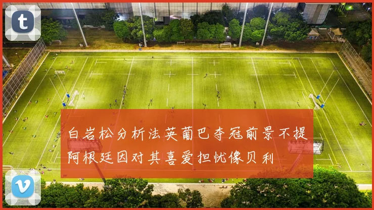 白岩松分析法英葡巴夺冠前景不提阿根廷因对其喜爱担忧像贝利